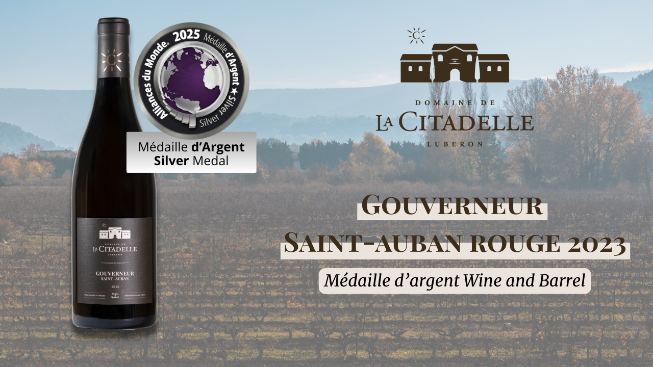 Notre cuvée Gouverneur Saint-Auban rouge 2023, décroche l’Argent !