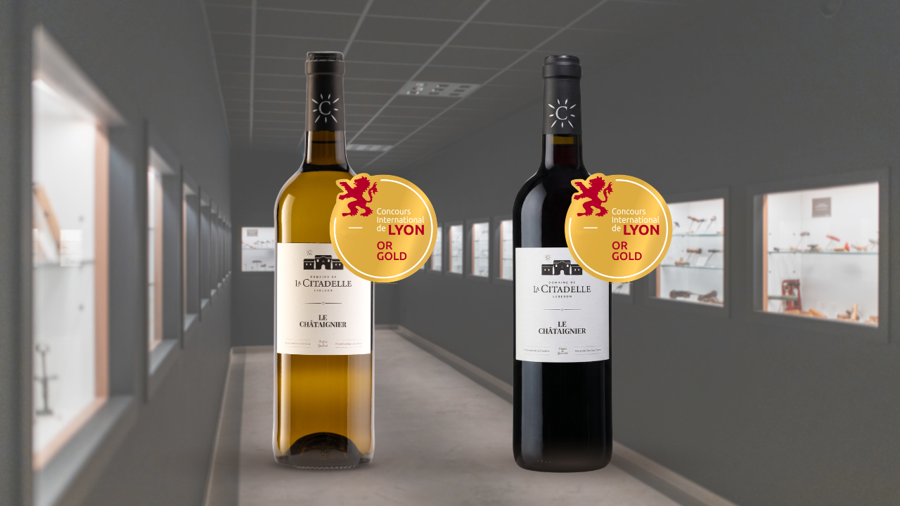 Lyon sous l'or, nos châtaigniers ont brillé !