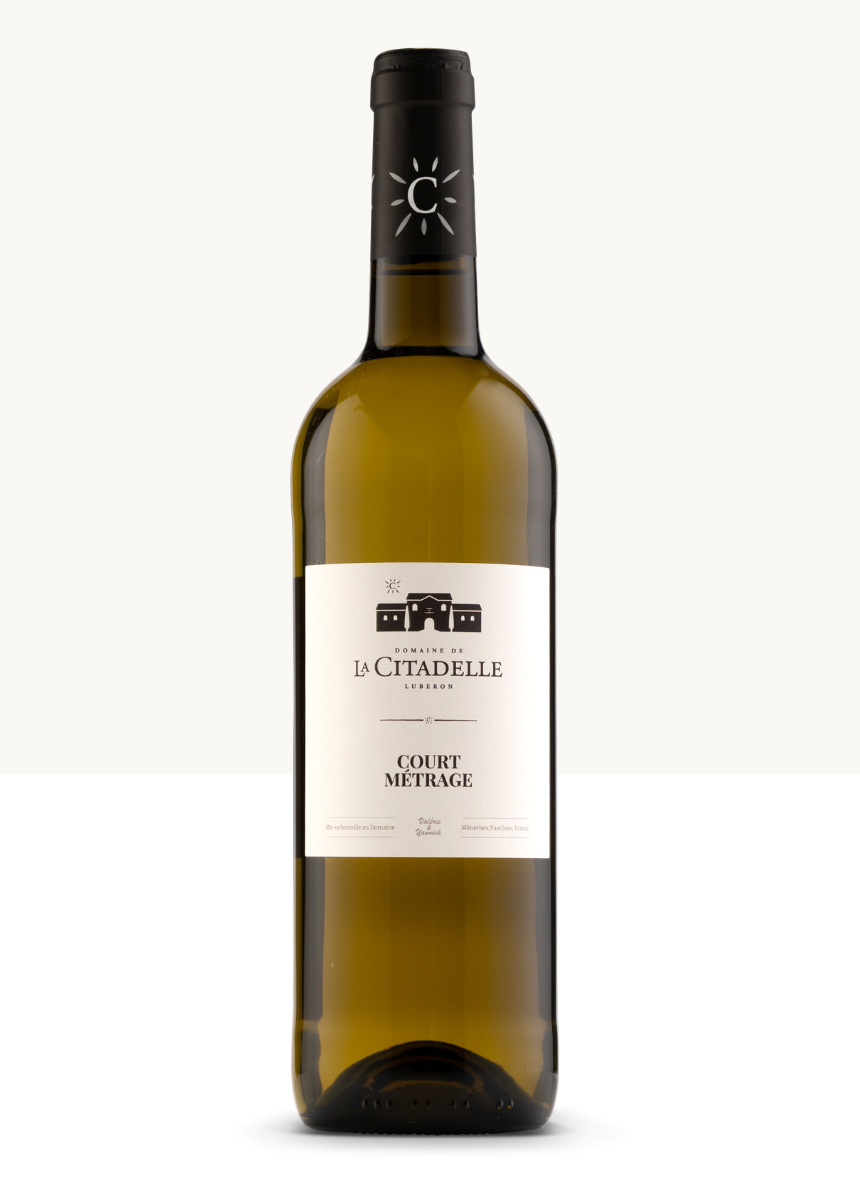 Court Métrage Blanc 2025