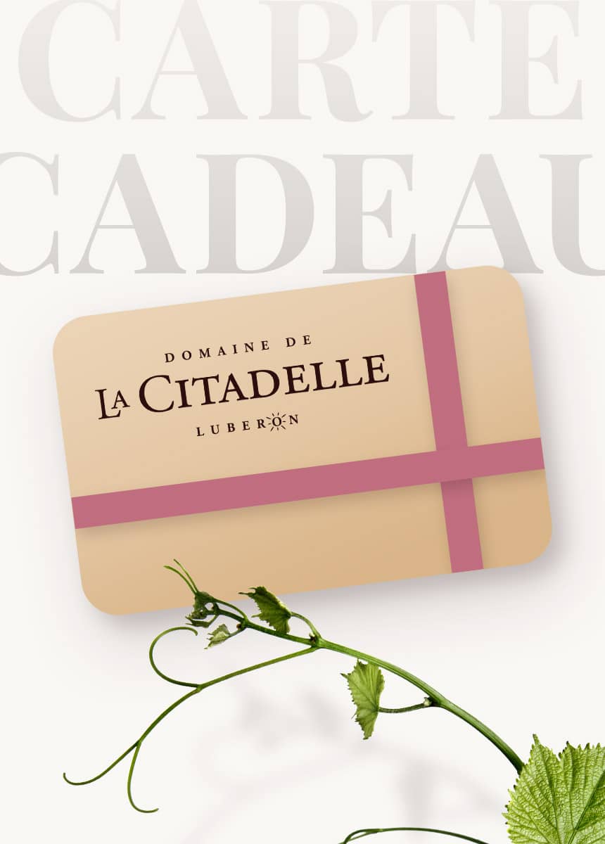 Carte Cadeau