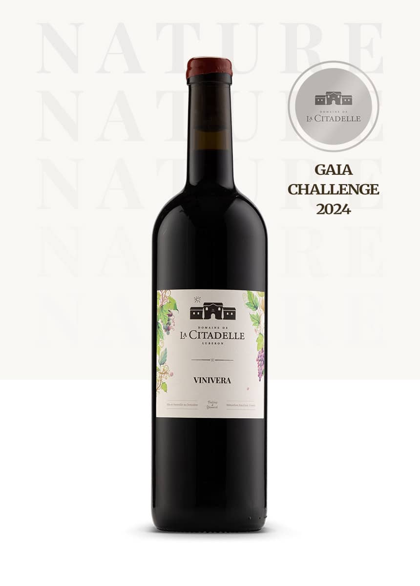 Vinivera Red 2024