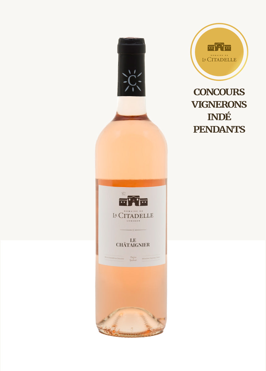 Chestnut Rosé 2024
