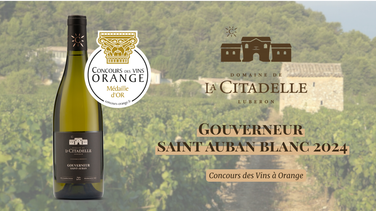 Médaille d'Or : Notre Cuvée Gouverneur Blanc 2024 récompensée à Orange !