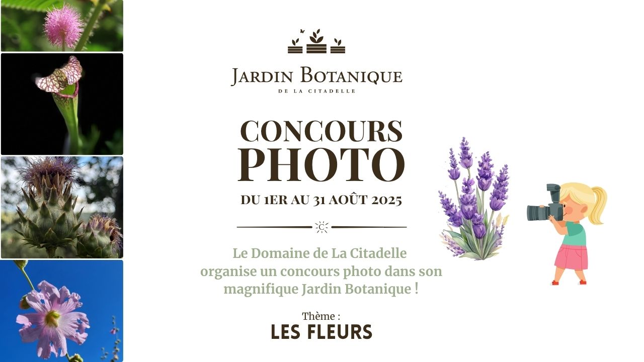 Concours Photo au Jardin Botanique
