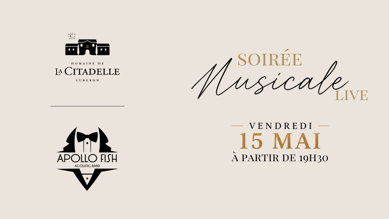 Soirée musicale vendredi 15 mai | groupe Apollo Fish