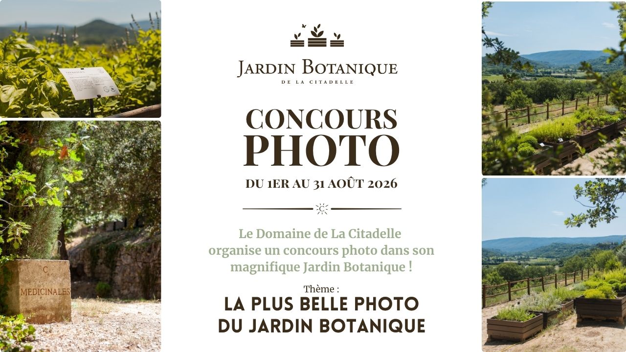 Concours Photo au Jardin Botanique : La Plus Belle Photo